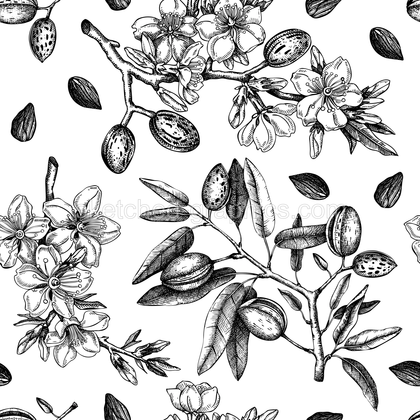 Almond branches background design. Blooming tree twigs  with nuts, flowers, leaves backdrop. Floral spring garden background. Botanical vector illustration for textile, packaging, wrapping, prints Illustration